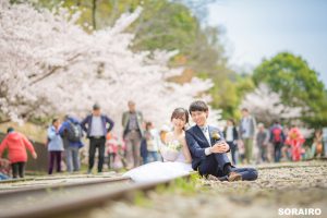 桜の季節の写真たち