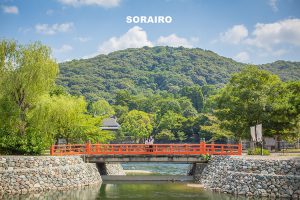 宇治は良いとこ一度はおいで