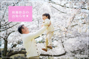 桜撮影会のお知らせ