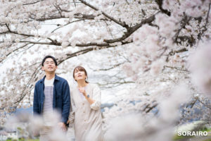 京都｜桜満開の鴨川で行う私服ロケーションフォト（エンゲージメント）撮影