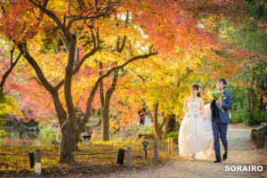 京都｜紅葉鮮やかな大原野神社と京都市内の森で和装洋装前撮り撮影