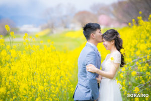 【春の前撮りカップル必見】桜や菜の花での撮影のオススメ時期・スポットのご紹介