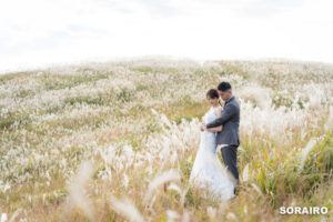 和歌山｜生石高原（おいしこうげん）で行う絶景のススキロケーション前撮り撮影