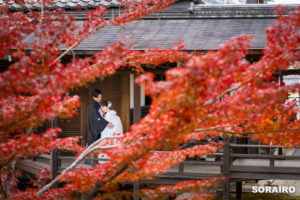 京都｜八坂の塔を巡る東山と秋の紅葉映える大覚寺で行う和装ロケーションフォト撮影